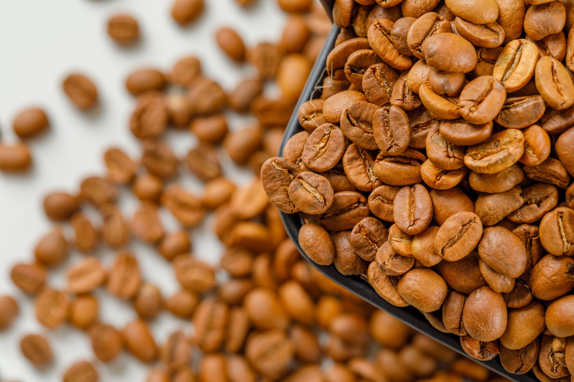 Granos de café tostados
